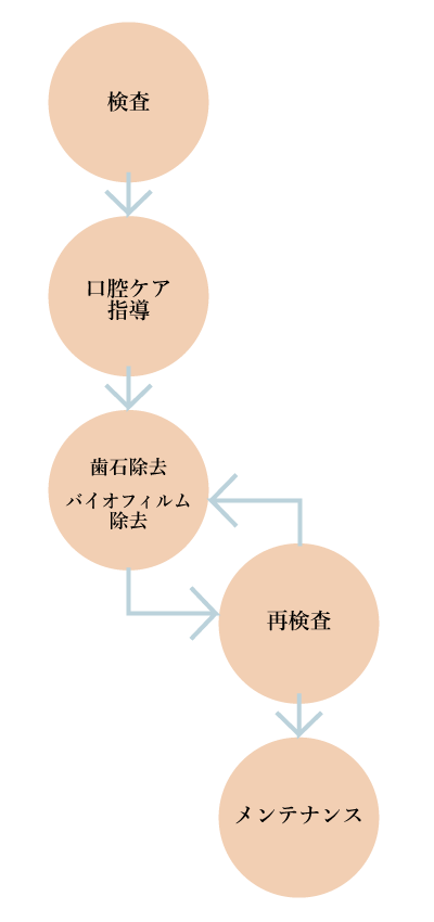 検査フロー図